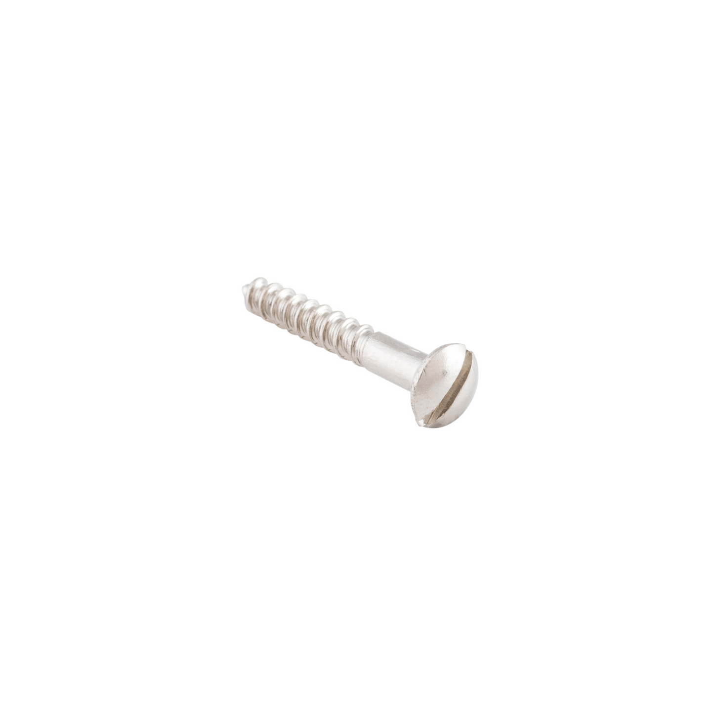 Screw - Domed Head Polished Nickel 6g x 25mm (50 pack)