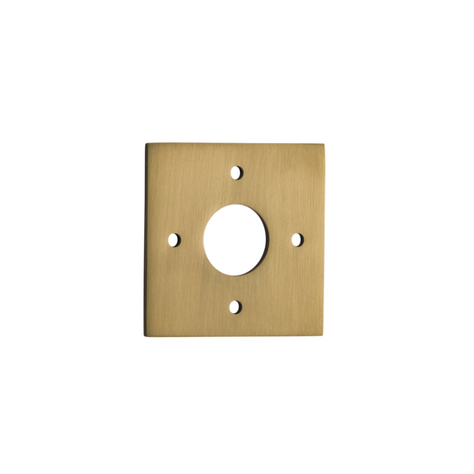 Adaptor Plate (Pair) Square Brushed Brass