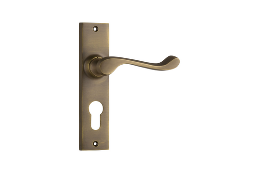 Fremantle Lever Antique Brass