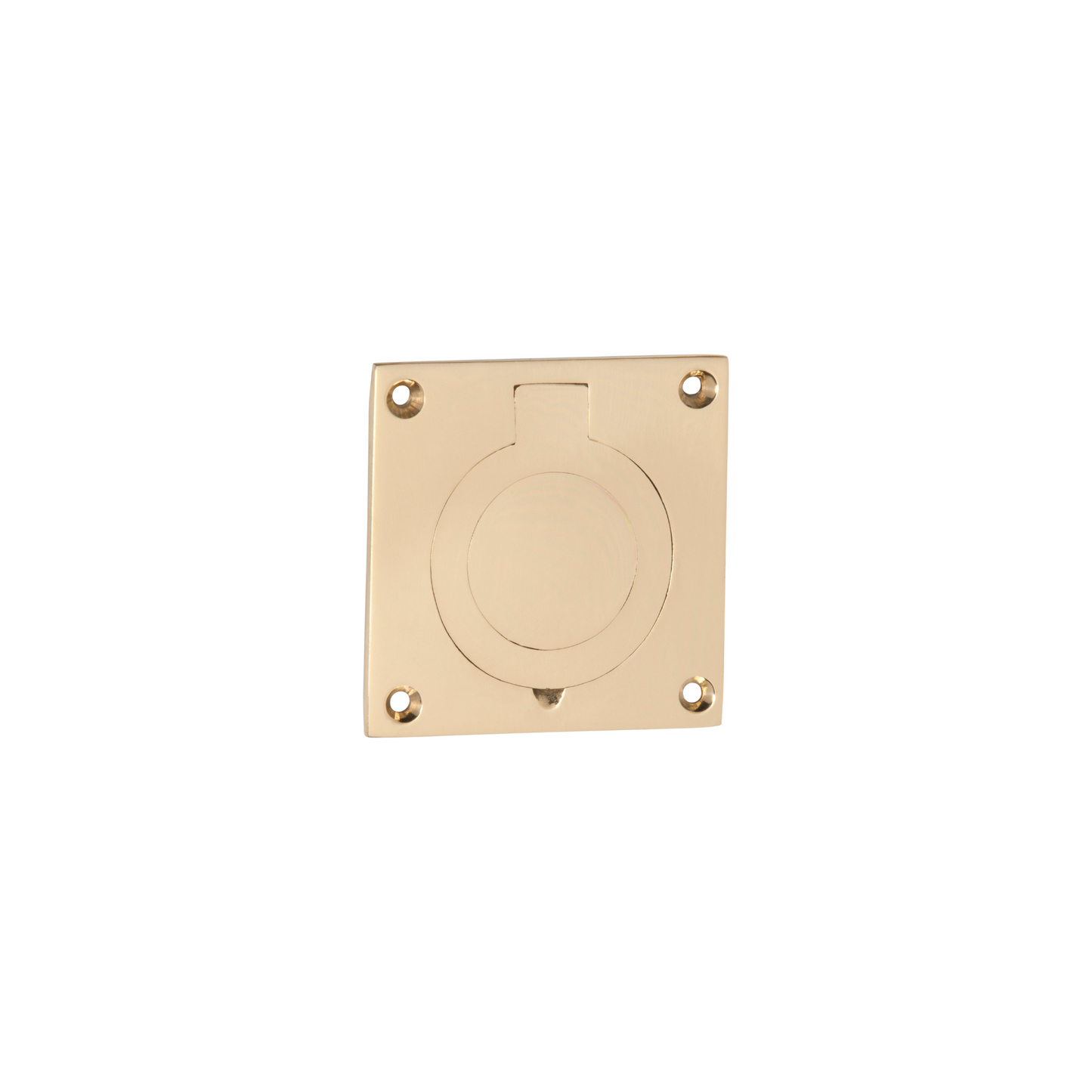 Cellar Door Pull Polished Brass