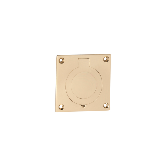 Cellar Door Pull Polished Brass