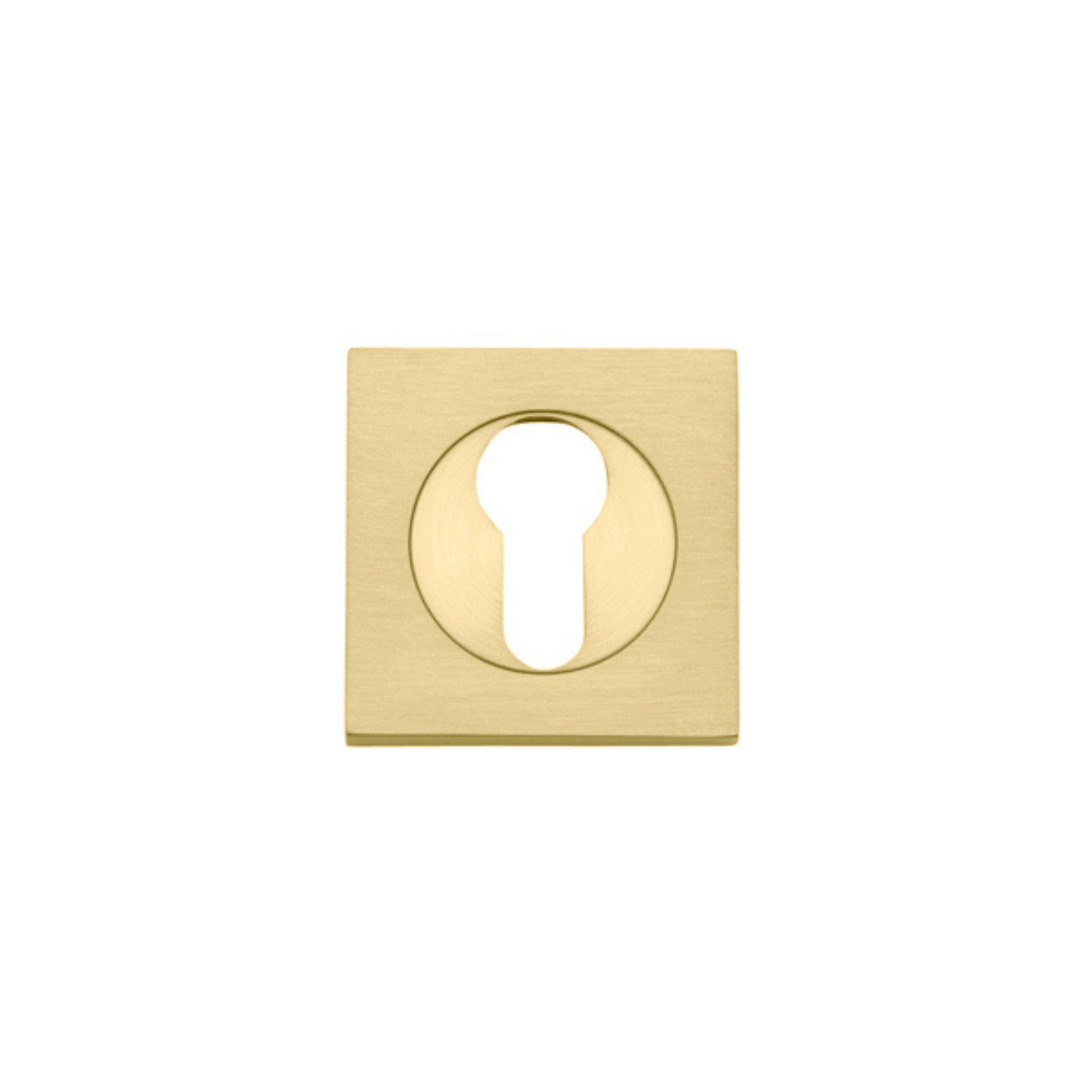 Euro Escutcheon Square Pair Brushed Gold PVD