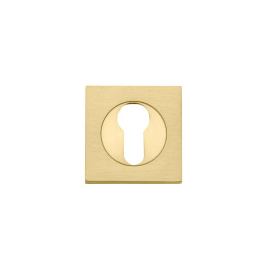 Euro Escutcheon Square Pair Brushed Gold PVD