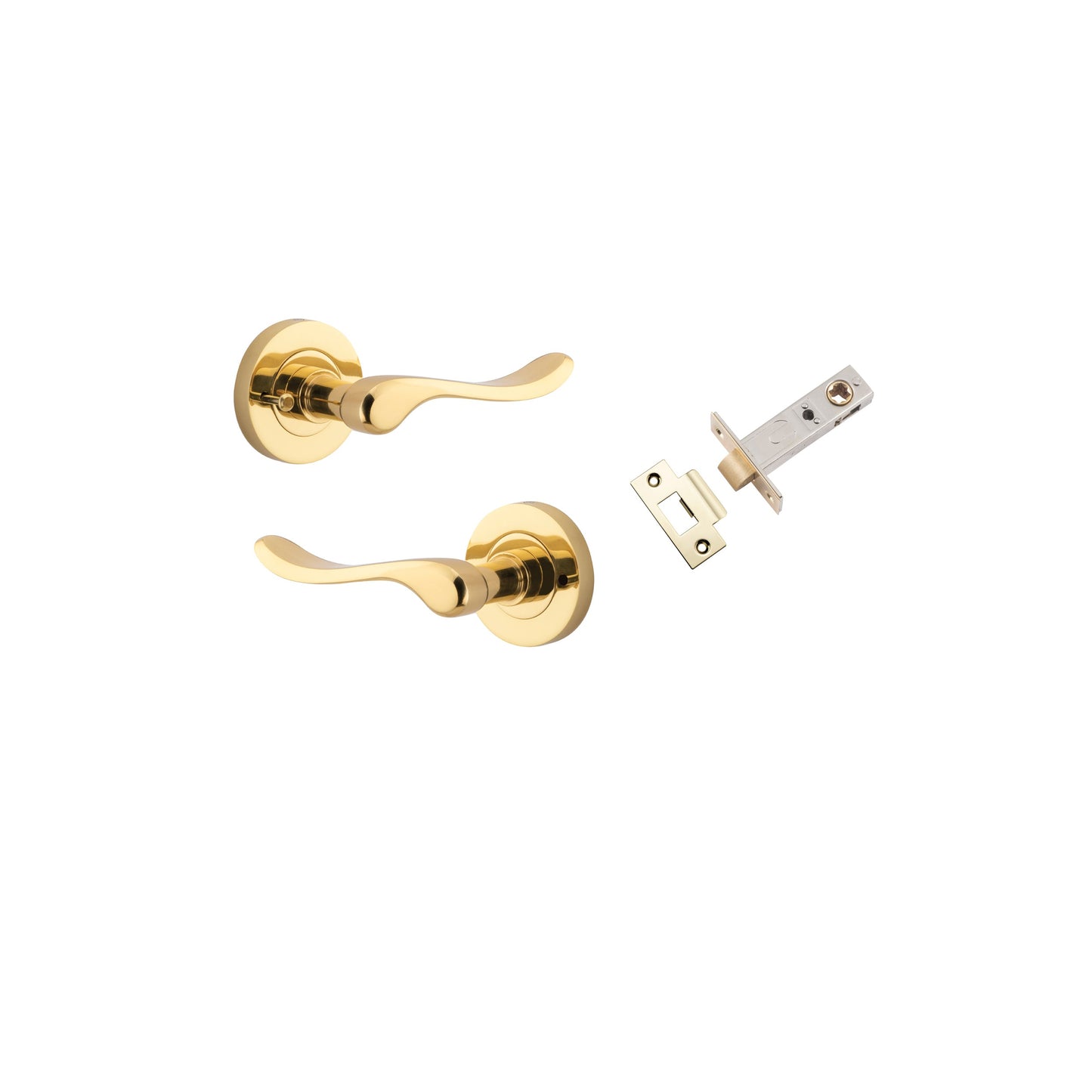 Stirling Lever on Rose Polished Brass Inbuilt Privacy Kit