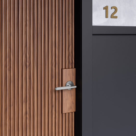 Door Handle / Linear / Sprung / Passage / Steel