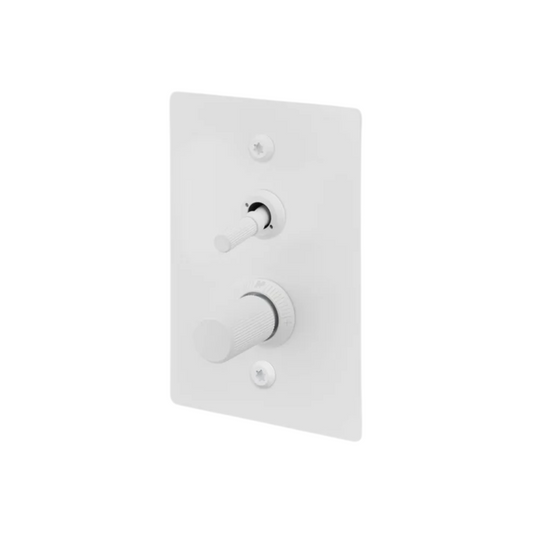2G Toggle + Dimmer / Vertical / Linear / White