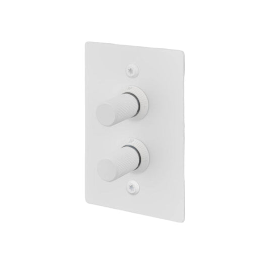 2G Dimmer / Vertical / 100W / Linear / White